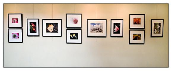 Gallery image No. 1
