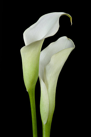 2011_0921_4218_helicon.jpg