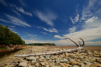 _AD16988july-2009-vacation.jpg