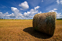 _AD16877july-2009-vacation.jpg