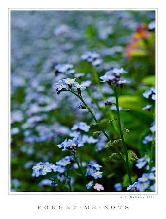 AD2_1196 copy.jpg