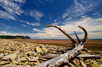 _AD16994_1.jpg