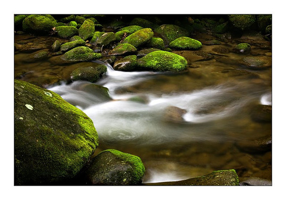 Smoky Mountain Stream