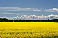 _AD16899july-2009-vacation.jpg