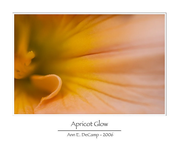 AD1_0385summerframed.jpg