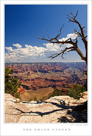 AD0_5944_1.jpg