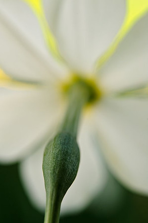 AD2_2794.jpg