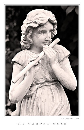 AD2_1424 copy.jpg