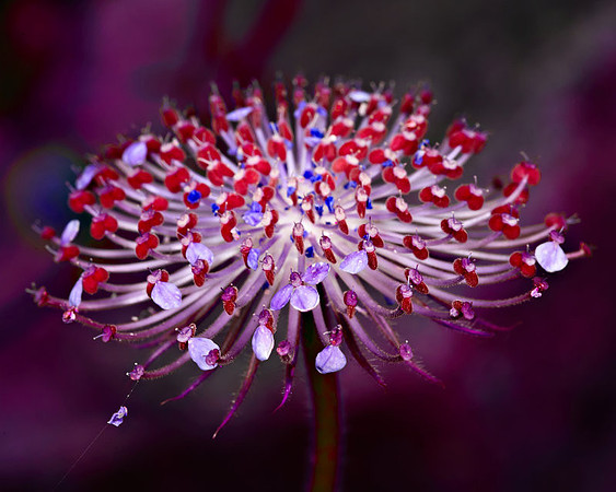20110825_2201.jpg