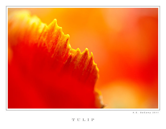 AD2_1264 copy.jpg
