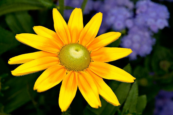 20110825_2215.jpg