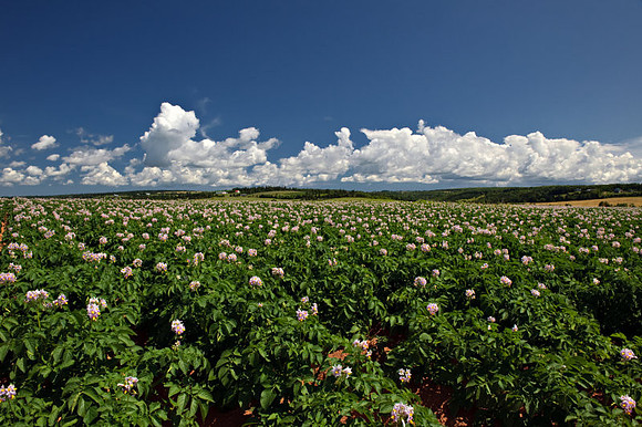 _AD16889july-2009-vacation.jpg