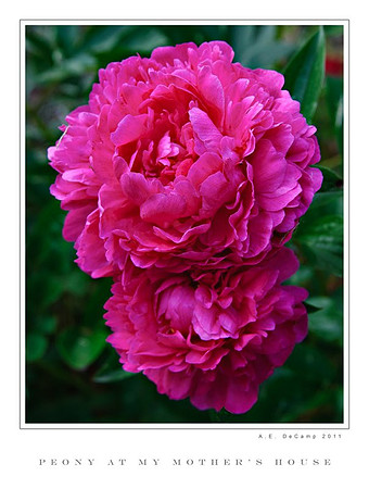 AD3_1486 copy.jpg