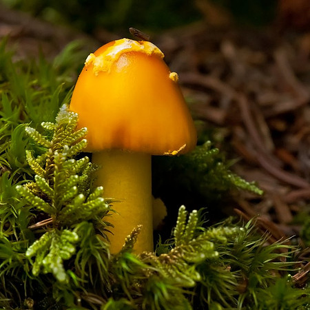 20110827_1484.jpg
