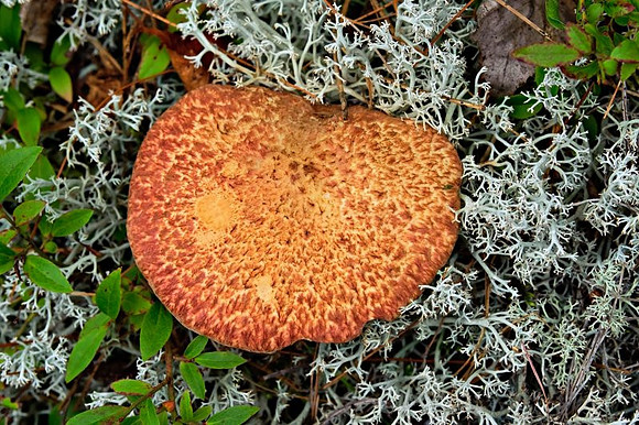 20110827_1592.jpg