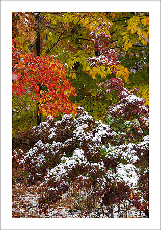 AD3_3332autumn.jpg