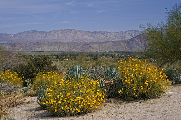 AD2_1122Californi 2010.jpg