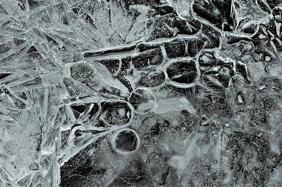 AD1_2244_2.jpg