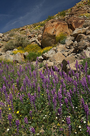AD2_1152California 2010.jpg