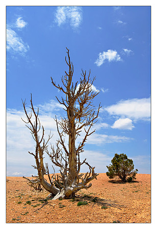 AD0_8618.jpg