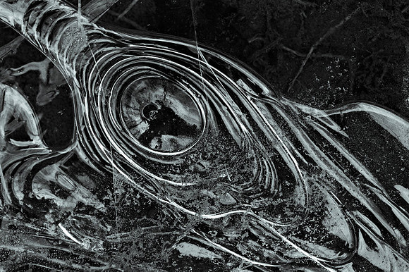 AD1_2300_2.jpg