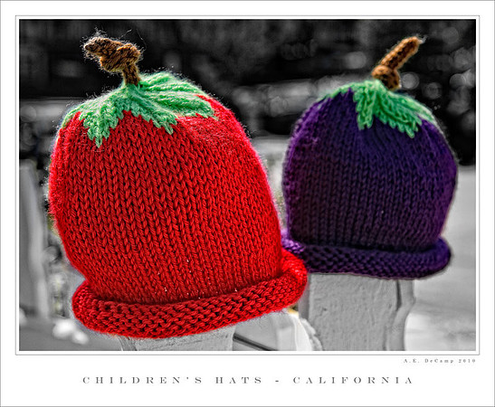 AD2_1238Californi 2010.jpg
