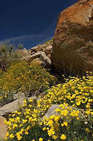 AD2_1155California 2010.jpg