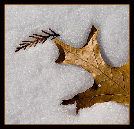 AED_0689winter.jpg