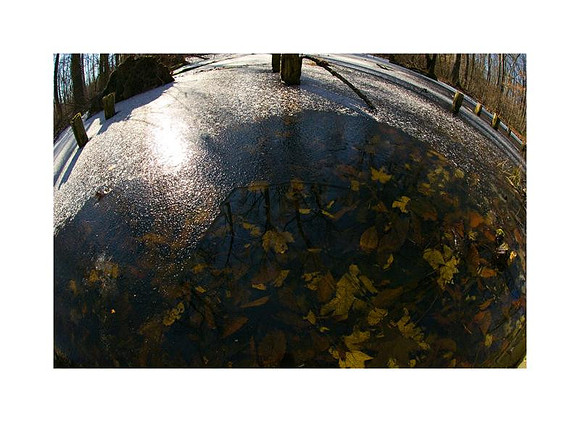 AED_2277great_swamp.jpg