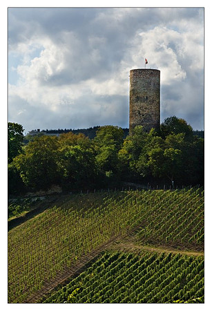 AD2_9385Europe.jpg