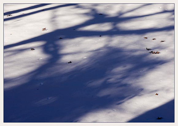 AED_0612winter-web.jpg