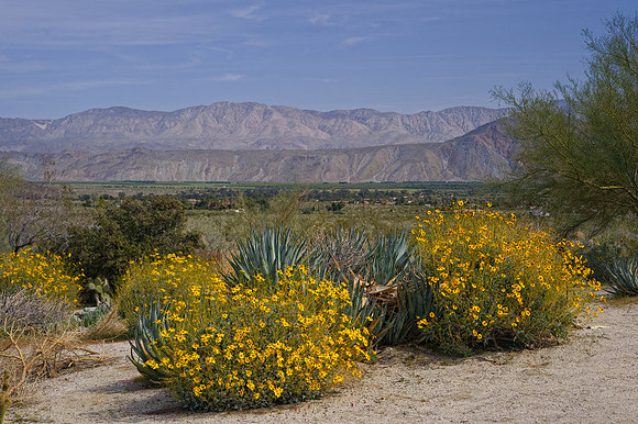 AD2_1122Californi 2010.jpg