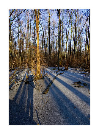 AED_2163great_swamp.jpg