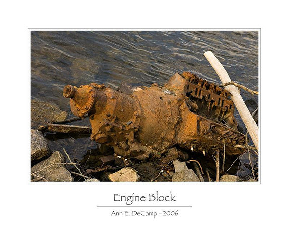 AED_5617smokies.jpg