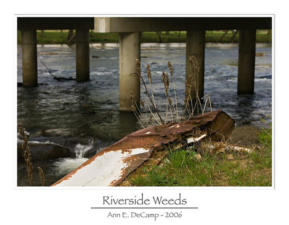 AED_5609smokies.jpg