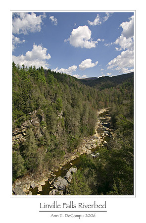 AED_5155smokies.jpg