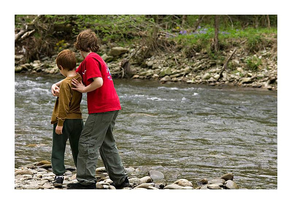 AED_5319smokies.jpg
