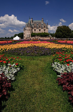 _AD177732009 August Vacation.jpg