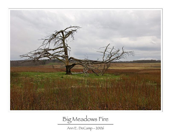 AED_6267smokies.jpg