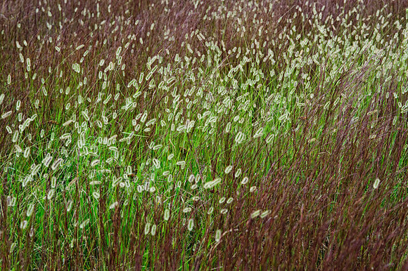 _AD175642009 August Vacation.jpg