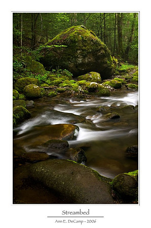 AED_6202smokies.jpg