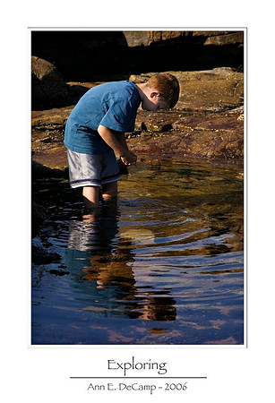 AD2_1367acadia-framed.jpg