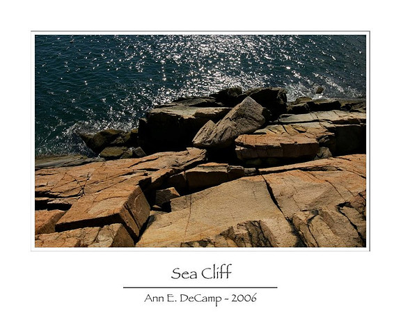 AD2_1211acadia-framed.jpg