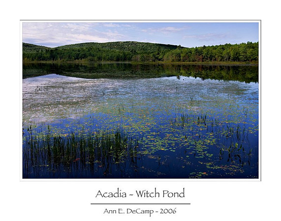 AD2_1281acadia-framed.jpg