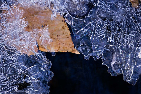 AD2_3625ice_2007.jpg