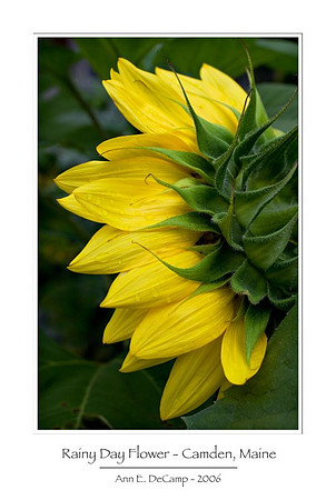 AD2_0768acadia-framed.jpg
