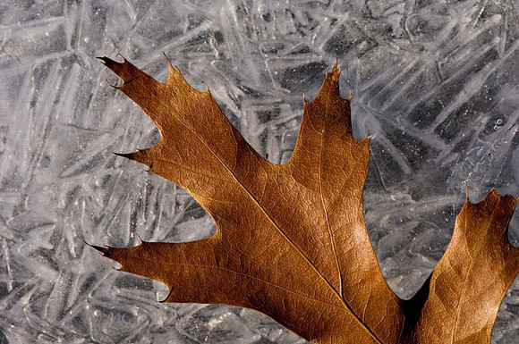 AD2_3676ice_2007.jpg