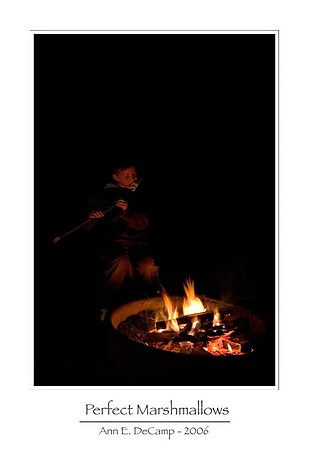 AD2_1194acadia-framed.jpg