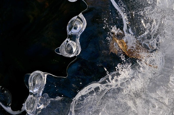AD2_3660ice_2007.jpg