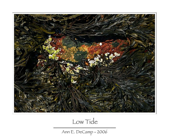AD2_1331acadia-framed.jpg